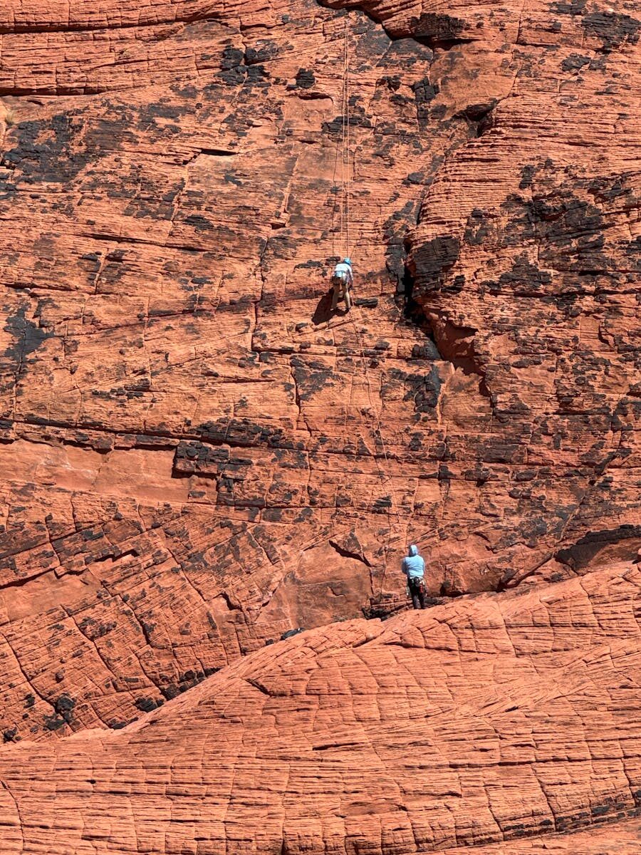 Sports Event Insurance